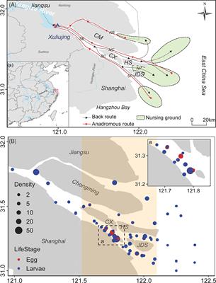 Delineation of estuarine ecological corridors using the MaxEnt model to protect marine fishery biodiversity